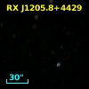 RX J1205.8+4429