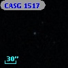 CASG 1517