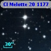 Cl Melotte   20  1177