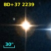BD+37  2239
