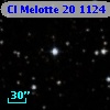 Cl Melotte   20  1124