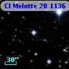 Cl Melotte   20  1136