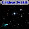 Cl Melotte   20  1188