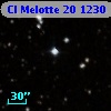 Cl Melotte   20  1230