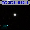 TYC 2529-1890-1