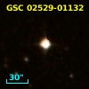 GSC 02529-01132