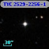 TYC 2529-2256-1