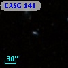 CASG  141