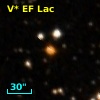 V* EF Lac