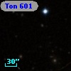 Ton  601