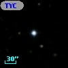 TYC 1988-304-1