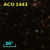 ACO  1443