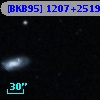 [BKB95] 1207+2519