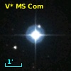 V* MS Com