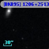 [BKB95] 1206+2513