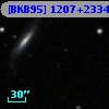 [BKB95] 1207+2334