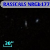 RASSCALS NRGb177.101