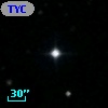 TYC 1442-2094-1