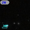 ZW VIII 164