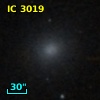 IC 3019