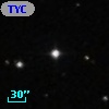 TYC  871-631-1