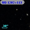 WD 1202+113