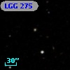 LGG 275