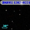 [BKB95] 1202+0221