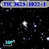 TYC 3629-1022-1