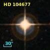 HD 104677