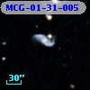 MCG-01-31-005