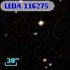 LEDA  116275