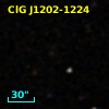 ClG J1202-1224