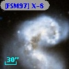 [FSM97] X-8