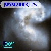 [WSM2003] 25