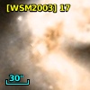 [WSM2003] 17