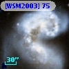 [WSM2003] 75
