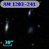 AM 1203-241