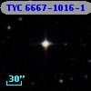 TYC 6667-1016-1