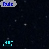 Ruiz 440-156