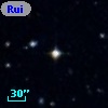 Ruiz 440-75