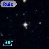 Ruiz 440-136