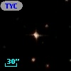 TYC 7239-92-1