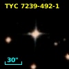 TYC 7239-492-1