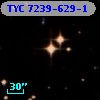 TYC 7239-629-1