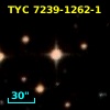 TYC 7239-1262-1