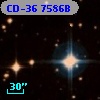 CD-36  7586B