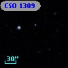 CSO 1309