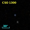 CSO 1300