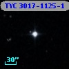 TYC 3017-1125-1